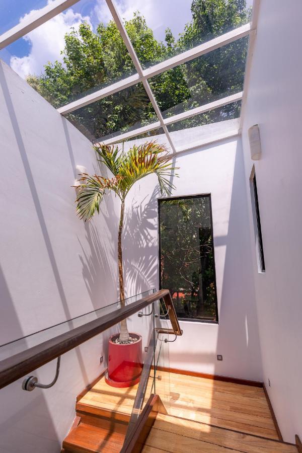 Casa Blanca In Coyoacan Kota Meksiko Bagian luar foto